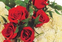 For The Home Image